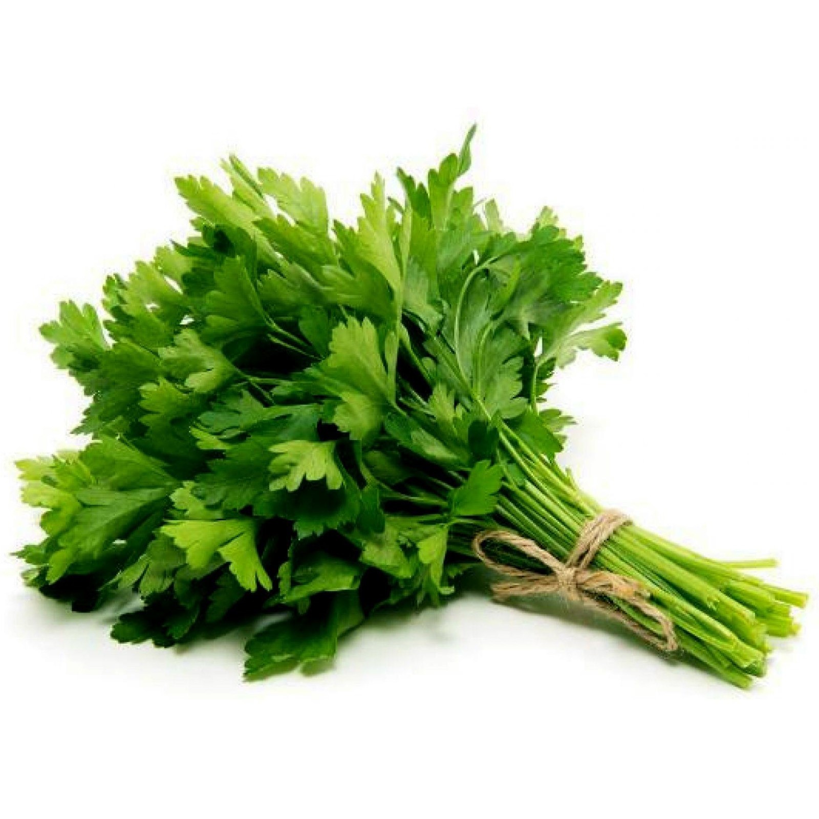 Parsley Seeds D'giant italiana (Turkey)