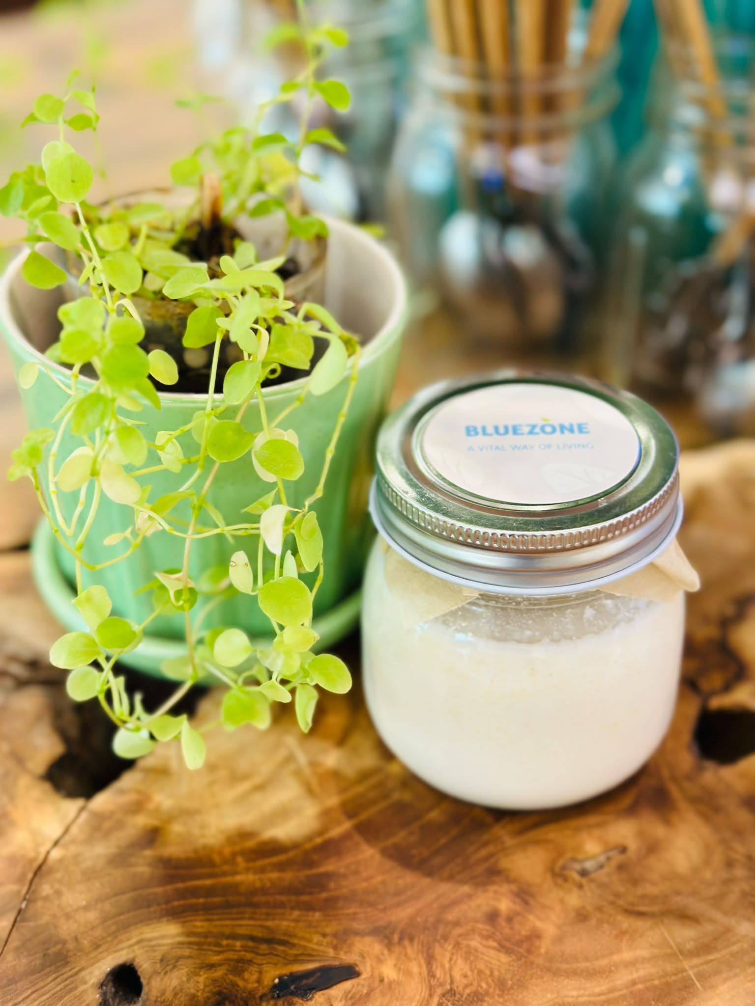 Sourdough Bread Starter