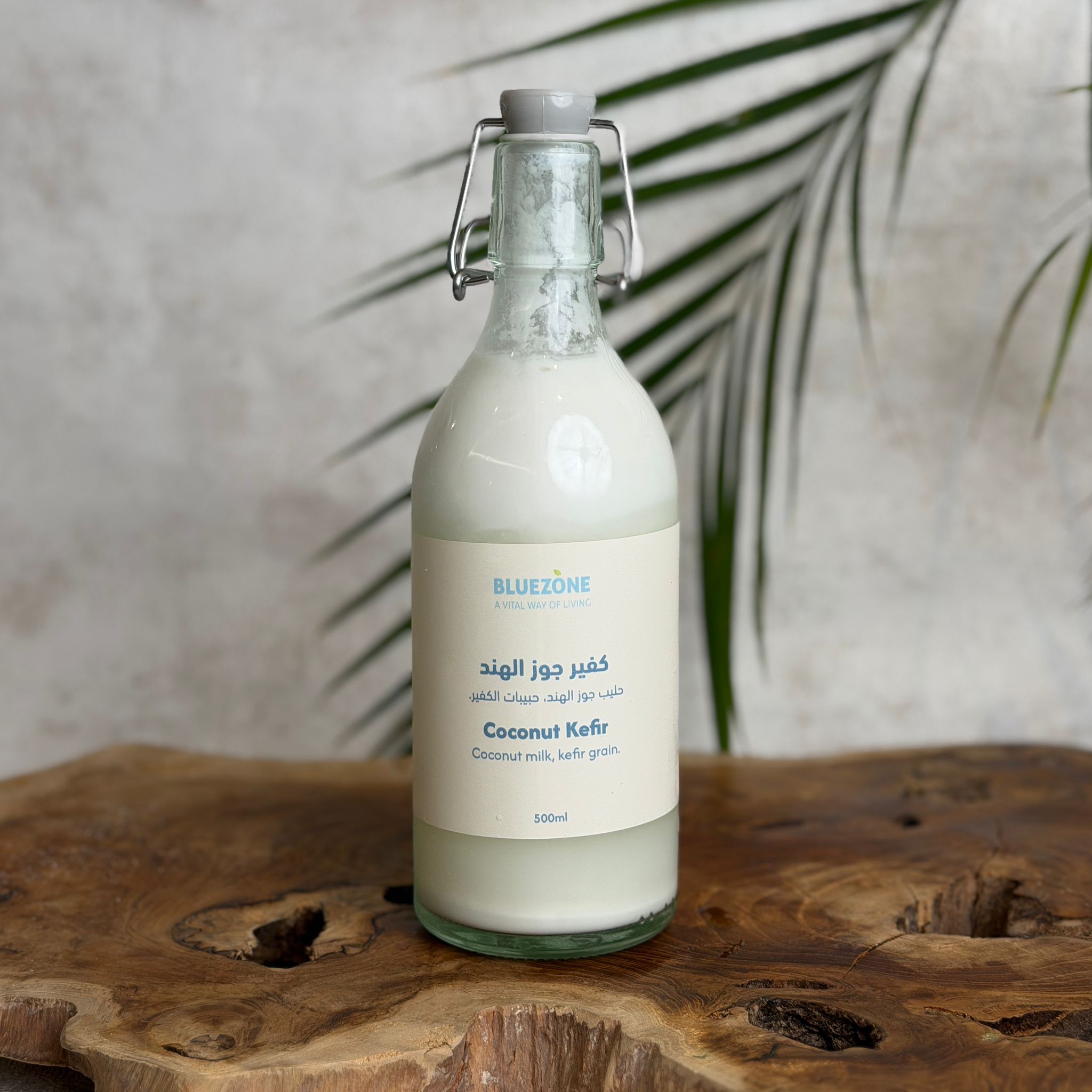 Coconut Milk Kefir