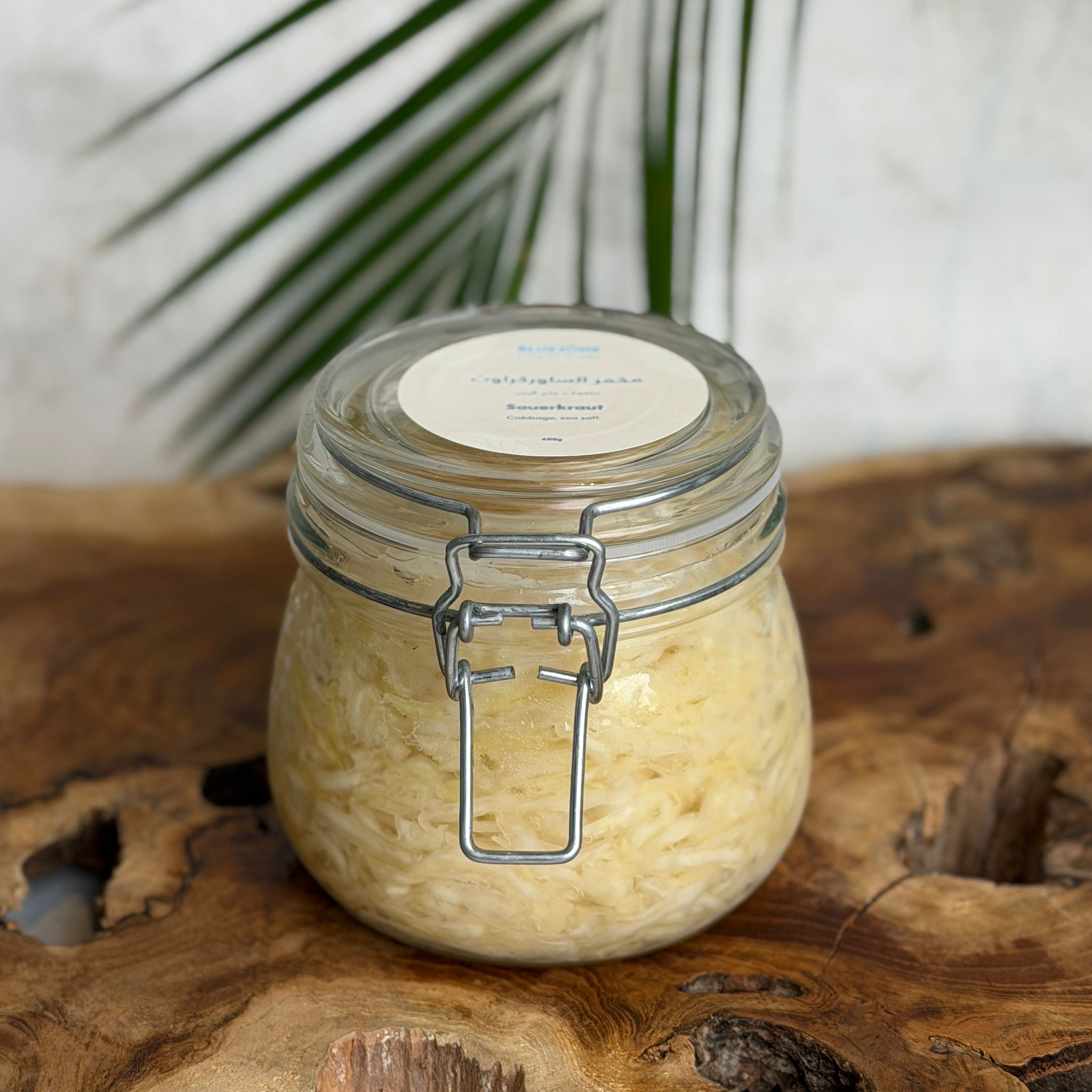 White Sauerkraut