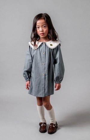 Gingham embroidered dress