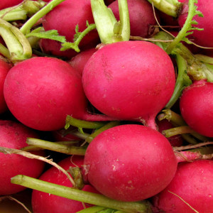 Red Radish Seeds 