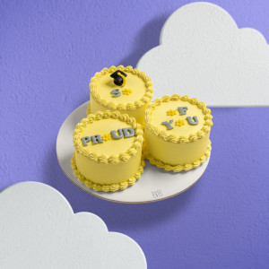 Graduation Cake Trio