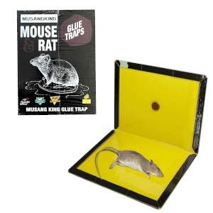 Mouse & Rat Glue Trap - China
