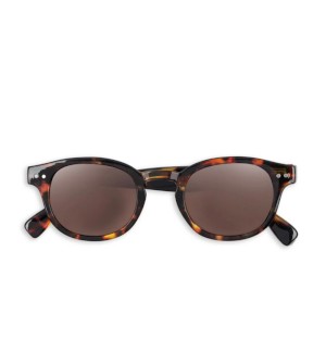 Brown junior sunglass