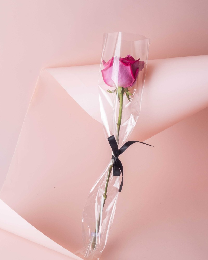 Single Rose