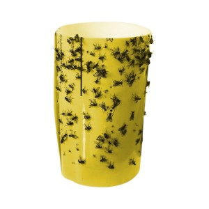 Giant Glue Fly Trap