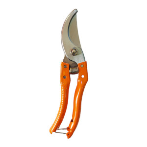 Scissors China RX 211-2 for plants and petals