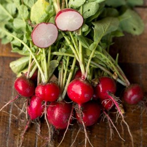 Turkish Bursa Radish Cherry Belle