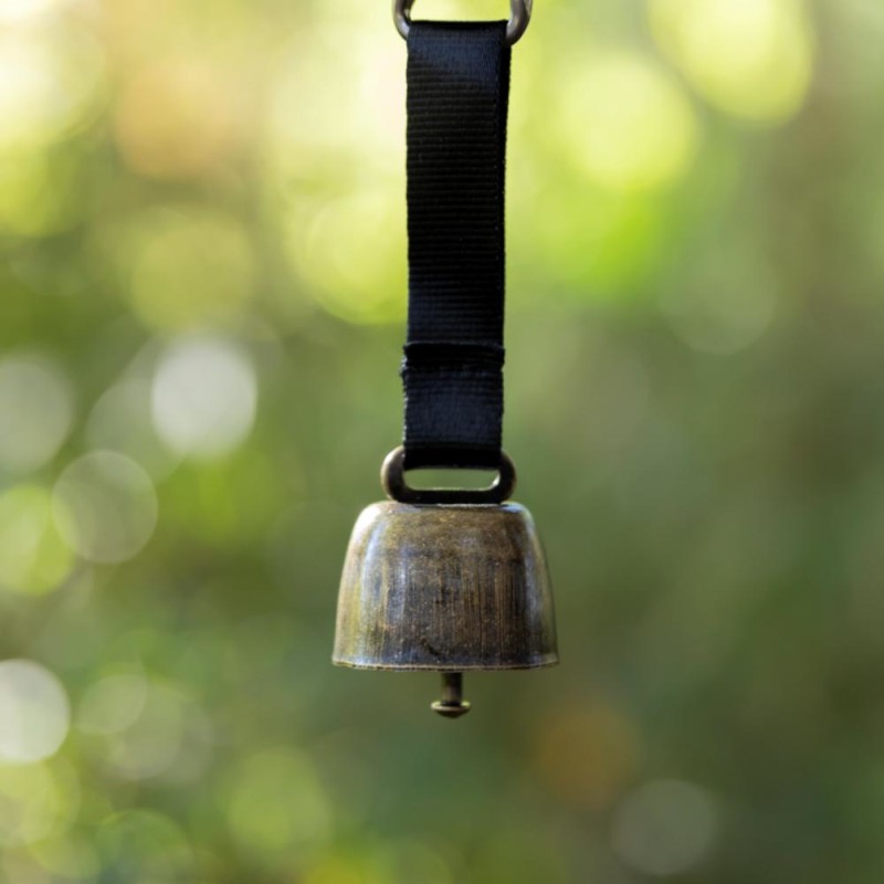 Other Ruminant Accessories
