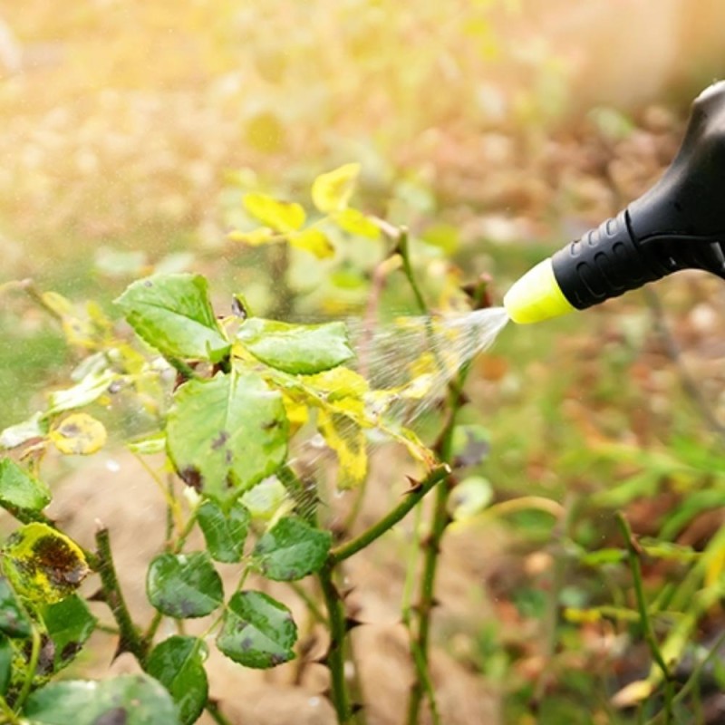 Fungicides