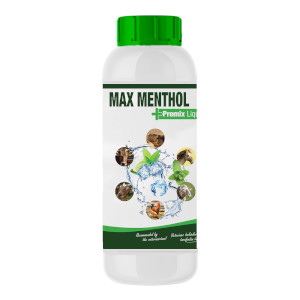 MAX MENTHOL LIQUID PREMIX 1 LT