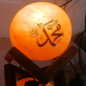 Pink Salt Ball Lamp MOH wording with wooden base