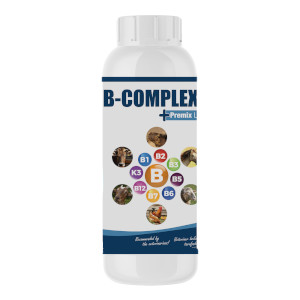 Vitamin B-Complex Liquid Premix - 1 Liter