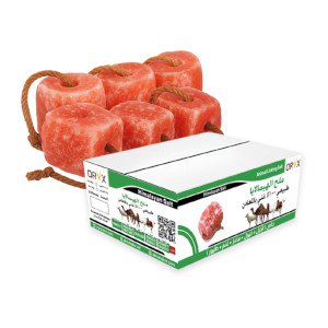 Himalayan Lick salt Natural (w/Jute Rope) - 2.5 to 3 kg (6 pcs)