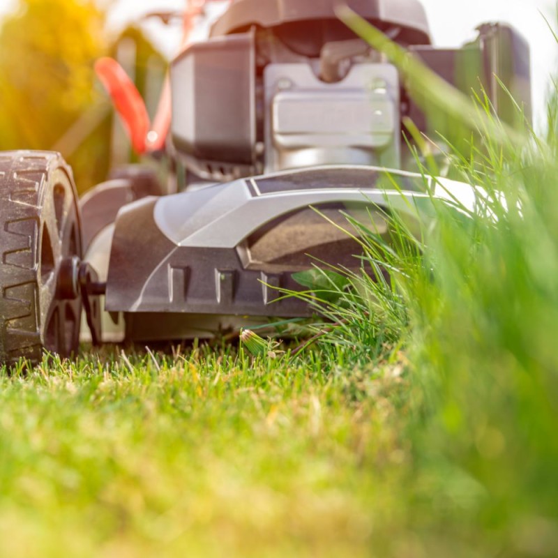 Agricultural Tools & Equipment