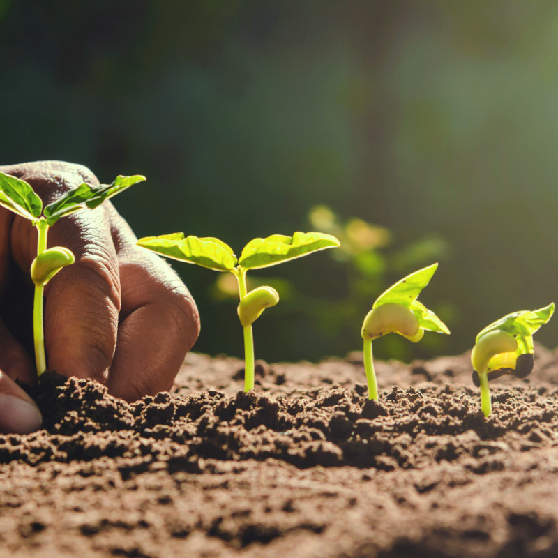 Agriculture