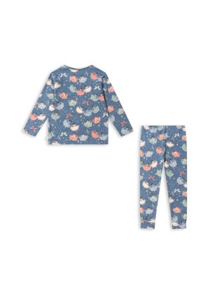 Snow Ballerina set