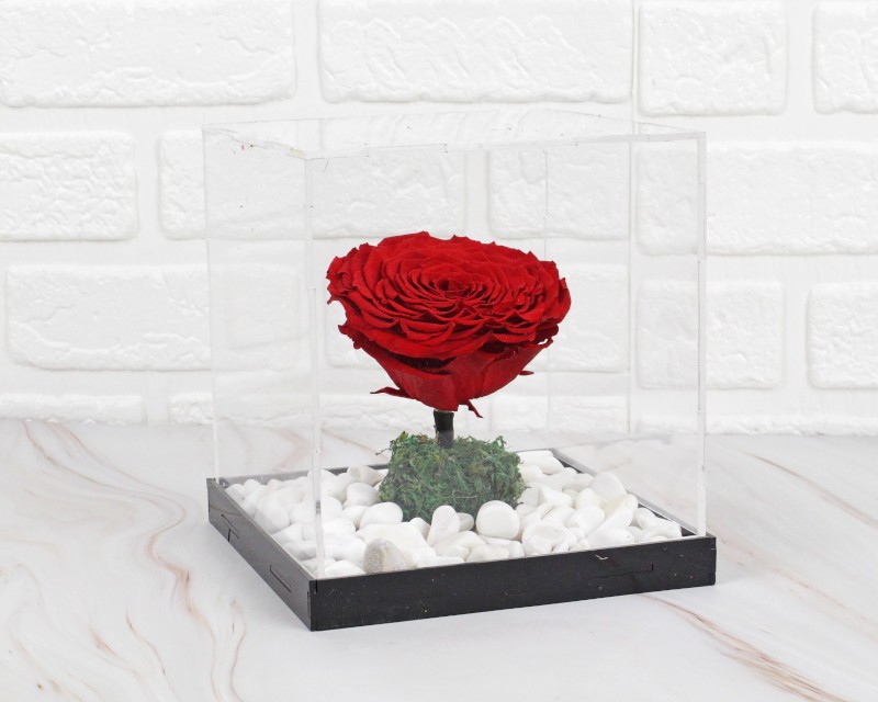 iBccly Preserved Rose with Love You Necklace in 100 Languages Gift Set, Enchanted Eternal Rose Flower for Valentine's Day Anniversary Wedding 並行輸入 iBccly Preserved Rose with Love You Necklace in 100 Languages Gift