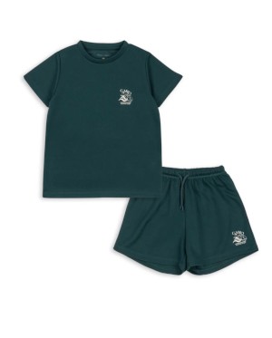 Sea moss set