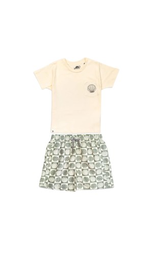 Shell swim set
