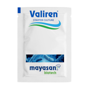 Mayasan Airan (Laban) Culture