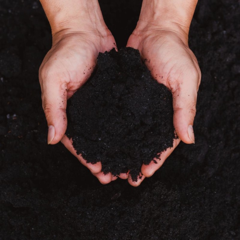 Soils & Boosters