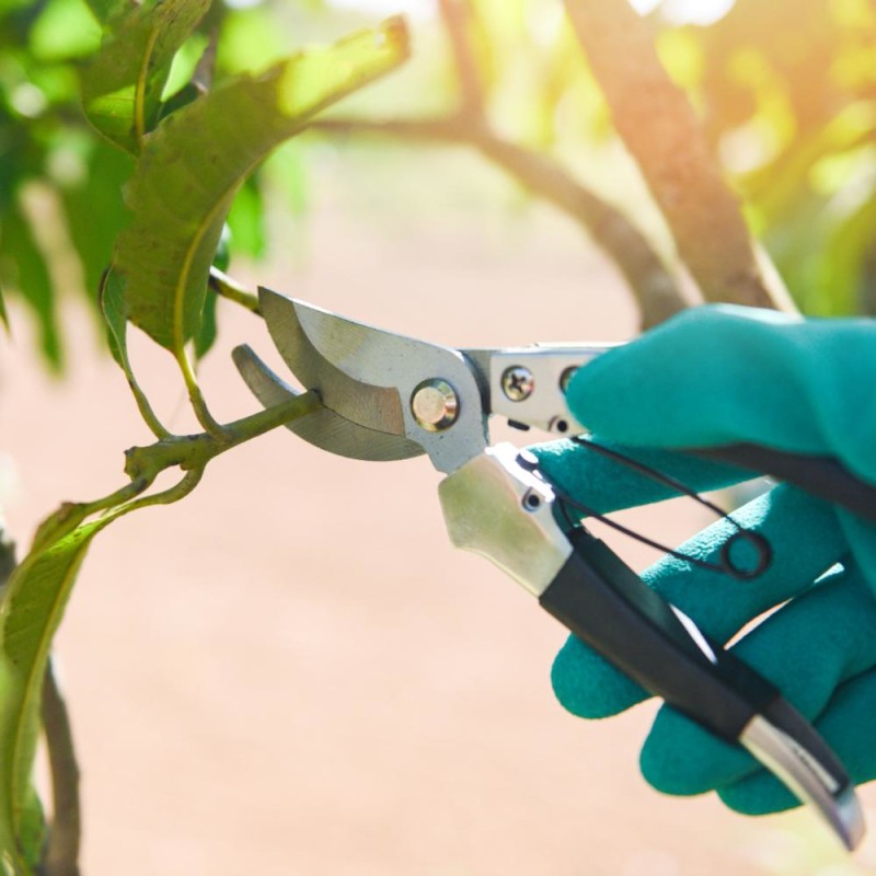 Gardening Tools