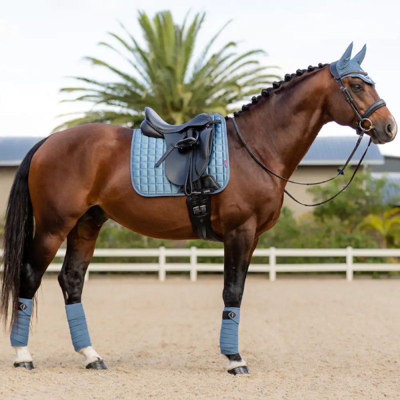 Horse Accessories