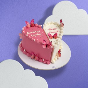 Love Duo Cake 🦋💕
