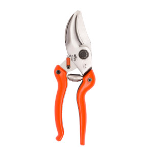 Besel Professional Series Scissors ZB6