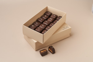 Brownie Peanut Butter Bites
