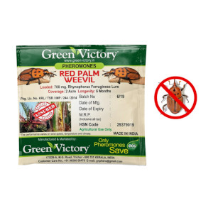Red Palm Weevil Phormones