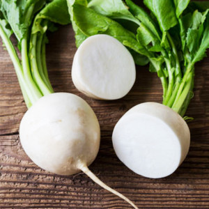 Turkish Bursa Radish seeds BT Burbeyaz