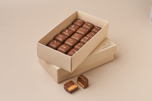 Chocolate Cheesecake Bites