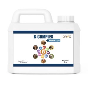 Vitamin B-Complex Liquid Premix - 5 Liter
