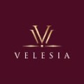 www.velesiakw.com favicon