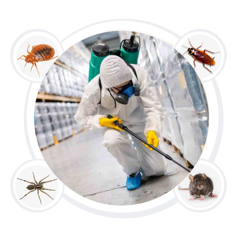 Pest Control