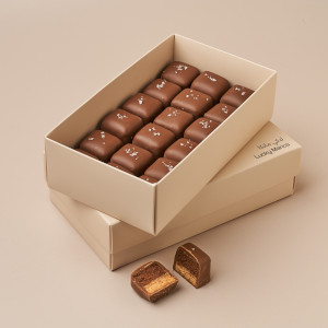 Chocolate Cheesecake Bites