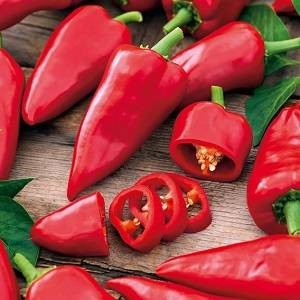 Turkish Bursha pepper seeds Kapstar