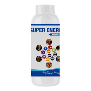 SUPER ENERGY LIQUID PREMIX 1 LT