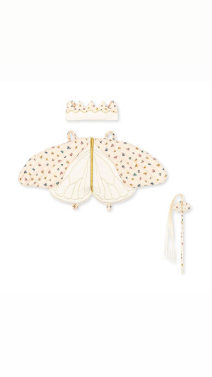 Butterfly costume