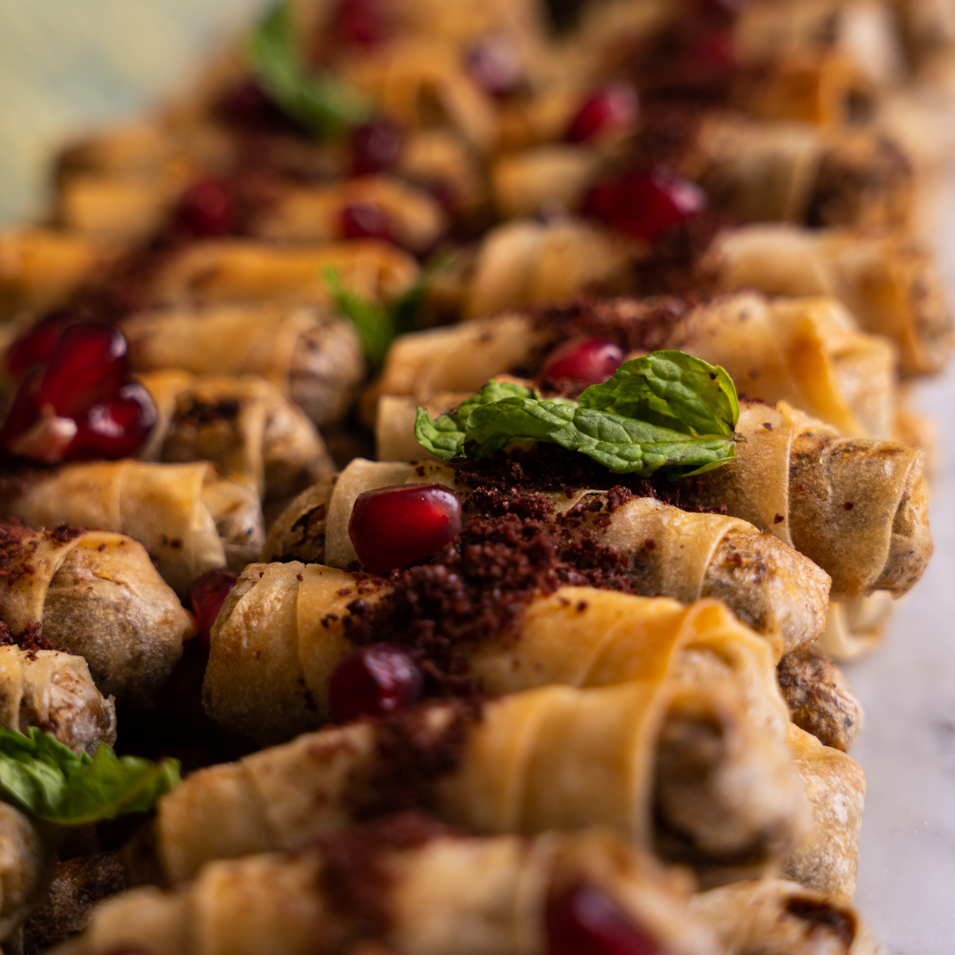 Seks porno video xola