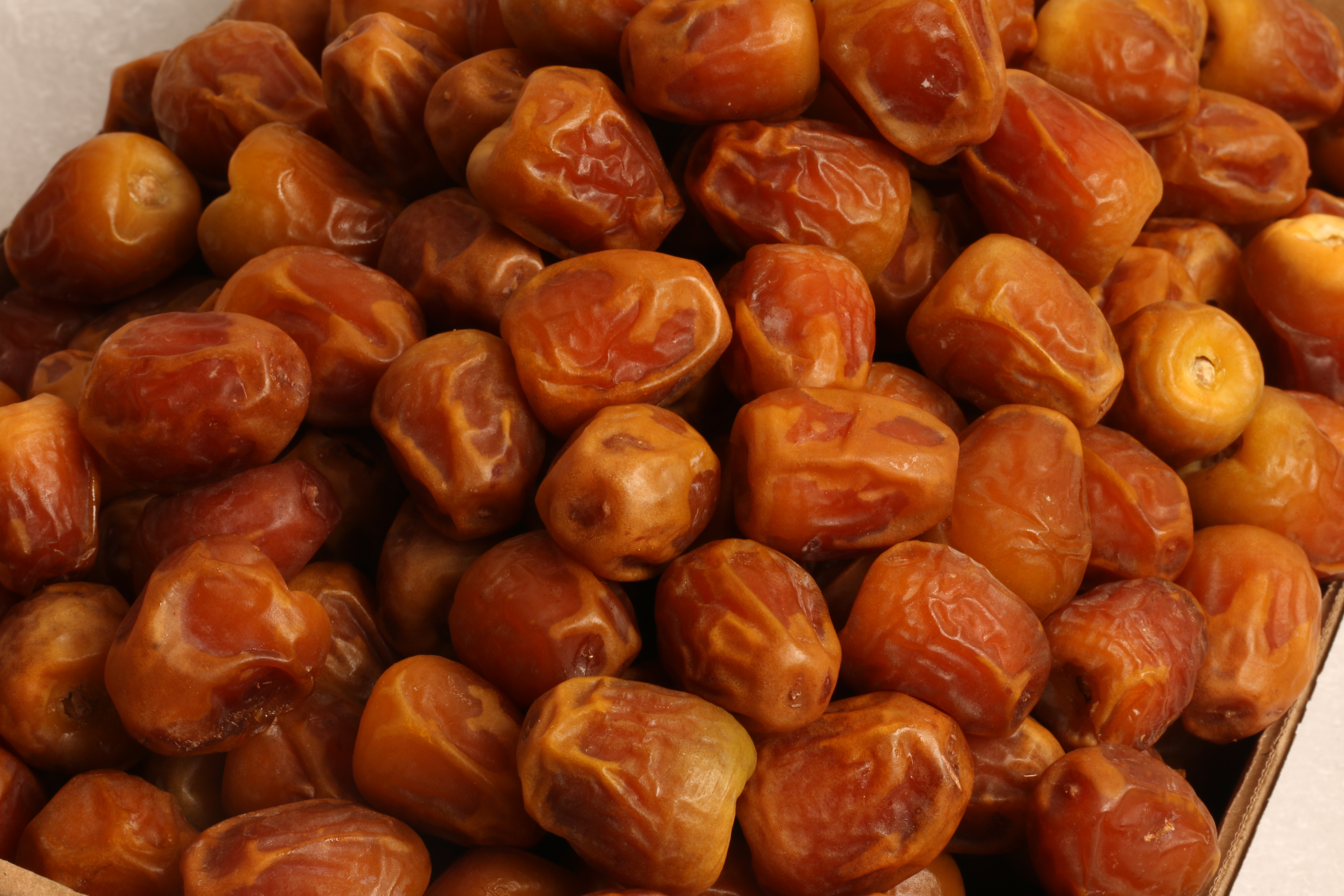 Dalla_wa_tamor