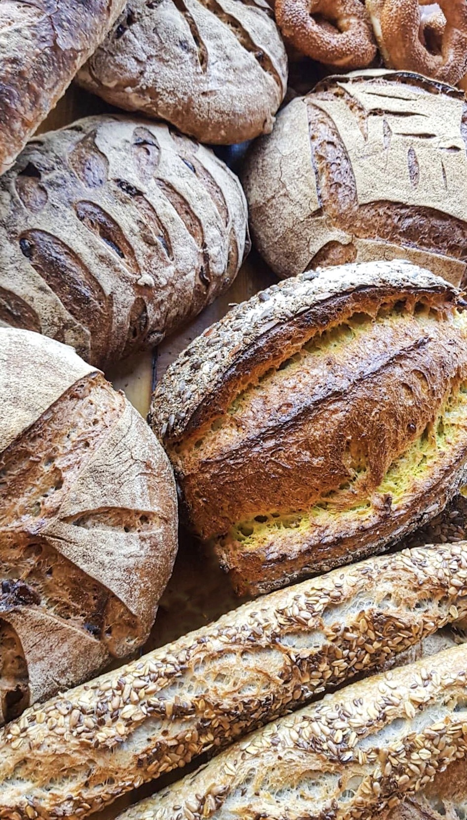 The Bakery