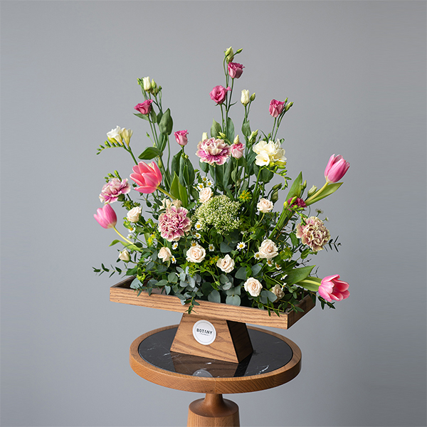 Tree Rose Flowers ( Abu Dhabi )