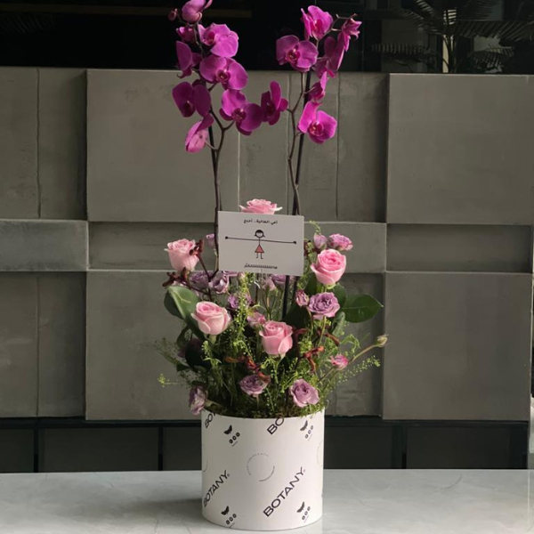 Tree Rose Flowers ( Abu Dhabi )